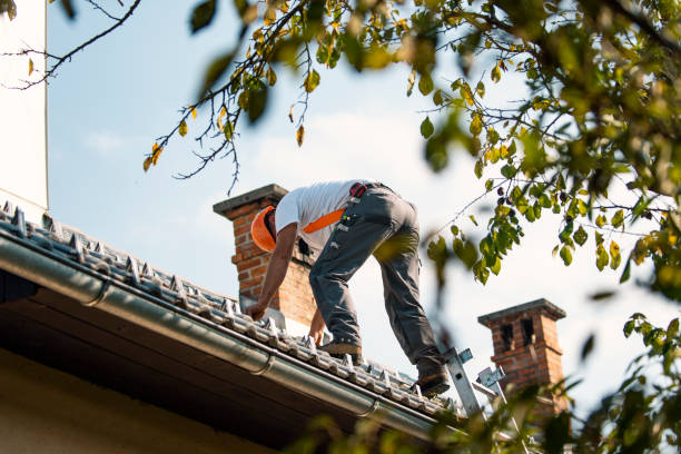 Best Storm Damage Roof Repair  in Sidney, OH